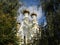 Domes of the Pokrovskyi Cathedral built in 1689