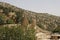 Domes of a Yezidi temple in Lalish, Iraq