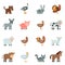 Domestic Animal Flat Icons Set