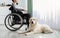 Domestic animal and human friendship concept. Disabled teen boy with his dog at home, selective focus on pet, copy space