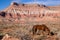 Domestic Animal Livestock Horse Grazes Desert Southwest Canyon