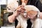 Domestic animal, pet, grooming, procedures for animals