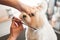 Domestic animal, pet, grooming, procedures for animals