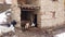 Domestic animals walking into stable in a remote village in Bitlis, eastern Turkey