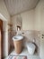 Domestic bathroom