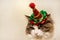 Domestic beautiful cat in a Christmas festive hat. Fluffy Kuril Bobtail cat close-up