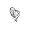 Domestic bird. Little cute chicken. Vintage black and white graphics