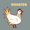 Domestic bird rooster simple