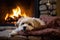 Domestic Bliss Cozy Fireplace With A Furry Friend