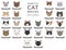 Domestic cat breeds and hybrids portraits collection isolated on white. Flat color cat`s head style set