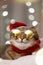 Domestic cat in Christmas Costume Outfit wearing sunglasses lying and relaxing on wool Carpet. Blurred of Christmas