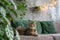 Domestic cat at cozy contemporary apartment living room interior vintage style.