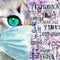 Domestic cat with green eyes wearing protective face mask, coronavirus lettering newspaper