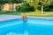 Domestic cat pet drinks water in outdoor pool in backyard