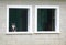 Domestic Cat Sits on Windowsill