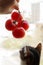 domestic cat sniffs a branch of red tomatoes