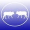 Domestic Cattle Cow Logo Background Banner