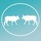 Domestic Cattle Cow Logo Background Banner