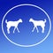 Domestic Cattle Goat Logo Background Icon Graphics