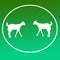 Domestic Cattle Goat Logo Background Icon Graphics