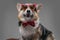 Domestic dog with bowtie and sunglasses against gray background