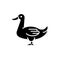 Domestic duck black glyph icon