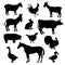 Domestic  farm animals  birds black silhouettes. Donkey  cock  goat  sheep  rabbit  horse