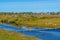 Domestic geese gray and white sit on the grass in the field in flocks and swim on the river at a small wooden bridge