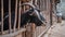 Domestic goat in a cote. Adult goats in the barn. Doat posing. Krasnodar region