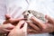 Domestic hedgehog being taken care of by veterinarians, animal care