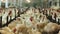 Domestic hens eat food from feeders in modern cook