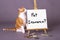 Domestic house cat standing by white sign with pet insurance