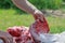 Domestic lamb carcass butchered into smaller cuts
