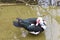 Domestic Muscovy duck perched on the lake