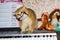 Domestic red thoroughbred cat plays with a wire on the electronic piano, the concept of home schooling in quarantine