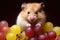 Domestic rodent care: hamster\\\'s wholesome grape snack