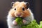 Domestic rodent wellness: hamster\\\'s fresh parsley treat
