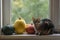 Domestic tiger cat lying on window sill with three pumpkins