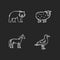 Domestic and wild animals chalk white icons set on black background