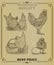 Domesticated birds Vector set. Hen, Cock, Chicken. Chicken farm hand drawn illustration