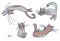 Domestics cats set isolated. Vector kittens kit.