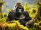 Dominant mountain gorilla in rainforest. Uganda. Bwindi Impenetrable Forest National Park