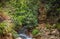 Dominica Boiling Lake Hike Landscape