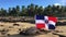 Dominican flag, flag against the beach