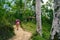 dominican mountain trail in spring jungle forest