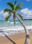 Dominican Republic Dream Beach