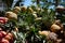 Dominican Republic: a truck selling fresh fruit on the side of the road.  Typical