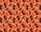 Domppattern : Halloween Cats Seamless Pattern