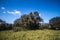 Domus de janas, prehistoric burial structures