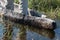 Don`t rock the boat, man standing in a mokoro in the Okovango Delta, Botswana